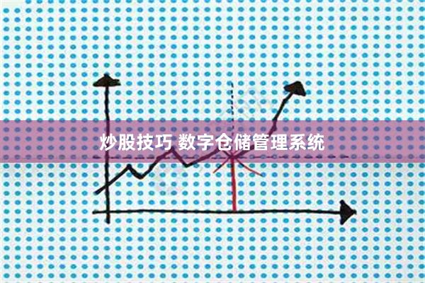 炒股技巧 数字仓储管理系统
